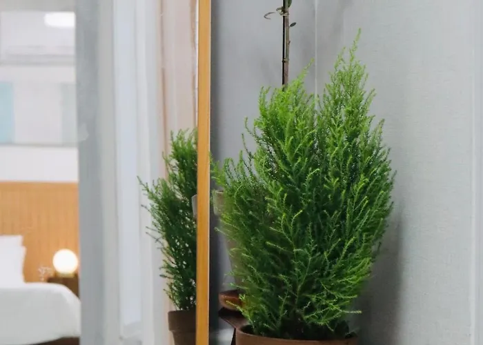 Forrest House,동대문,종로,성수,청량리역,서울시립대 앞 Apartment *